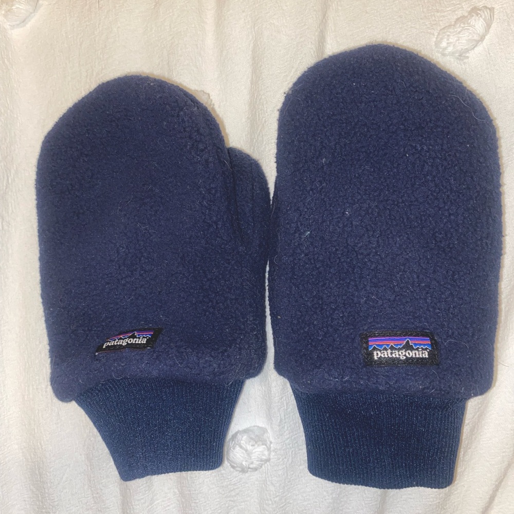 Patagonia Pita Pocket Mittens